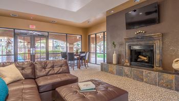 Wood-burning fireplace